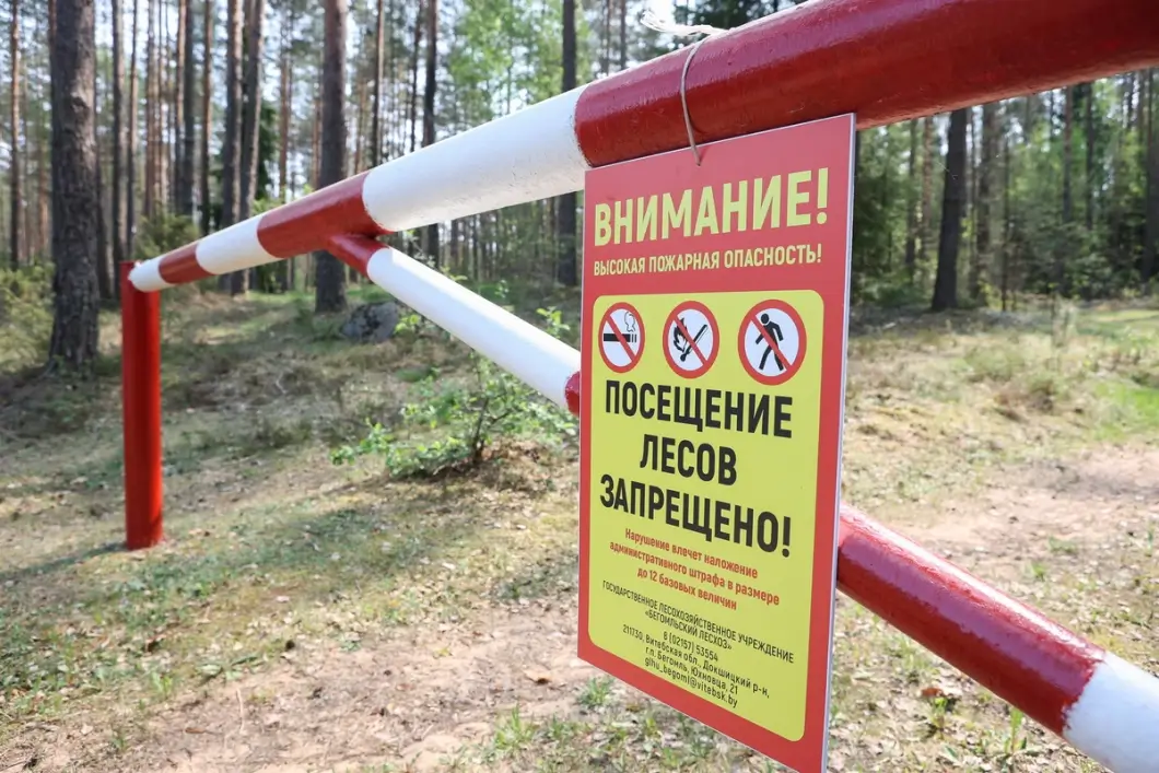 В Беларуси закрыты леса пяти областей из-за высокого класса пожарной опасности