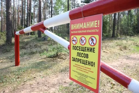 В Беларуси закрыты леса пяти областей из-за высокого класса пожарной опасности