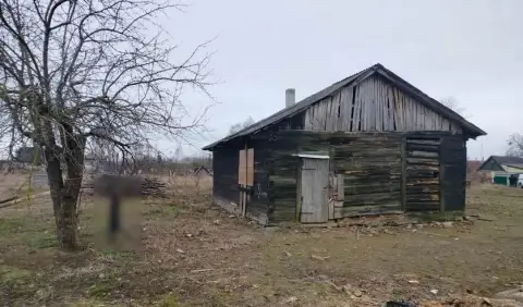 Жителю Гродно предъявлено обвинение в жестоком убийстве собаки