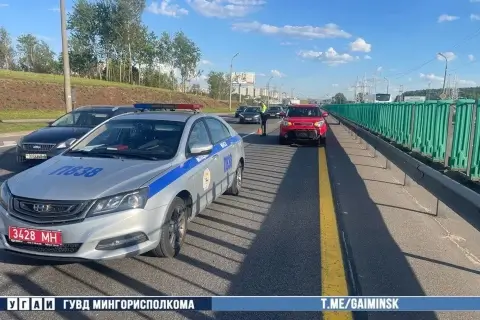 В Минске на МКАД произошло ДТП с участием дикого животного