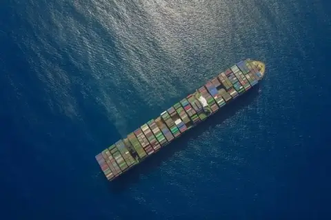 У берегов Индии потерпел крушение контейнеровоз MSC ELSA 3