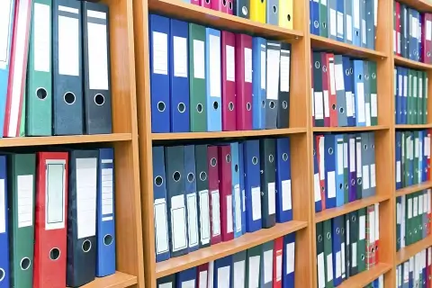 Беларусь утверждает новый стандарт образования с акцентом на электоральную культуру