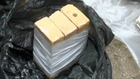 В Витебском районе обнаружен тайник с 126 кг тротила — бывшему военному грозит до 10 лет