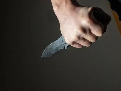 В Могилеве мужчина пришёл в школу с ножом и снял инцидент на видео