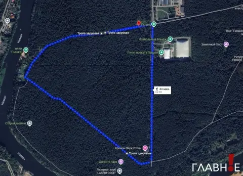 В Гродно пройдут молодежный забег и «Народная зарядка» в урочище «Пышки»