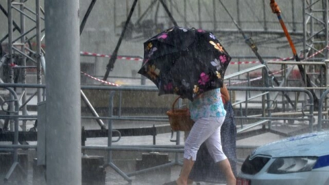 Прогноз погоды в Беларуси на 28 июня: сильные ветра, ливень