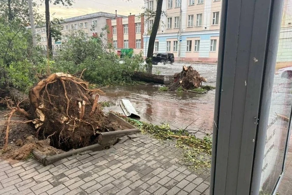 Пострадавшие от урагана в Могилёве могут оформить выплаты социальной поддержки