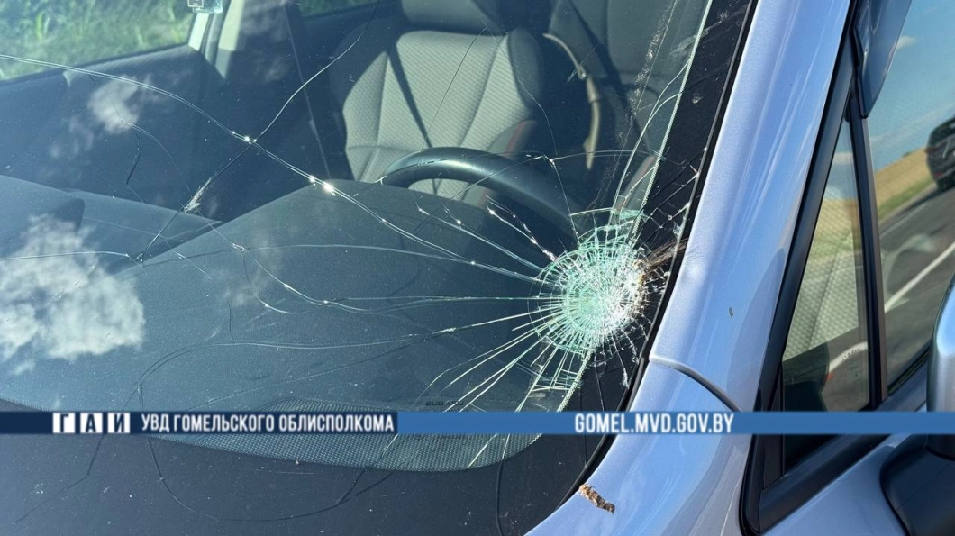 На трассе Р‑30 водитель Subaru сбил 10-летнего велосипедиста в Гомельском районе