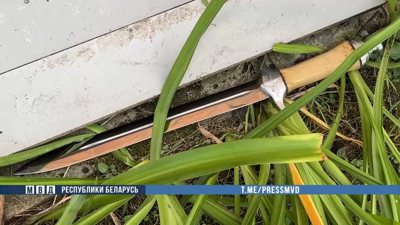 В Бресте милиционер при задержании дебошира применил оружие: мужчина угрожал ножами