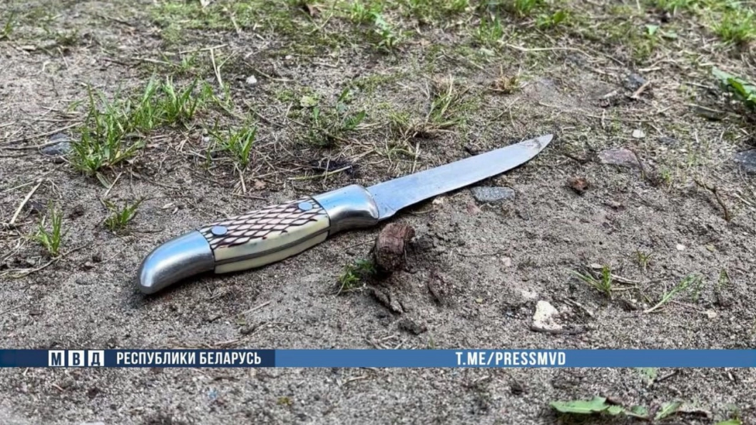 В Бресте милиционер при задержании дебошира применил оружие: мужчина угрожал ножами