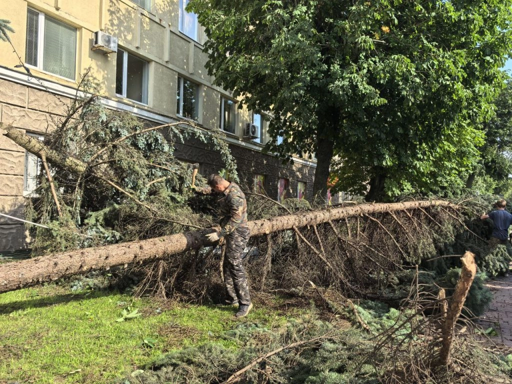 Могилев запустил выплаты и помощь горожанам после урагана — уже более 700 заявок