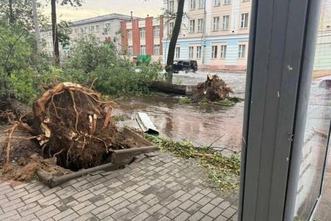 Пострадавшие от урагана в Могилёве могут оформить выплаты социальной поддержки