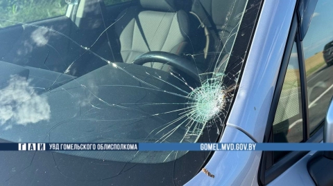 На трассе Р‑30 водитель Subaru сбил 10-летнего велосипедиста в Гомельском районе