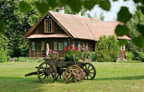 В Беларуси ускорена поддержка безработных: субсидии на ИП и расширенные льготы