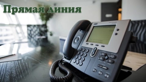 Владимир Привалов обнародовал график «прямых линий» с коммунальными и хозяйственными службами Гомеля