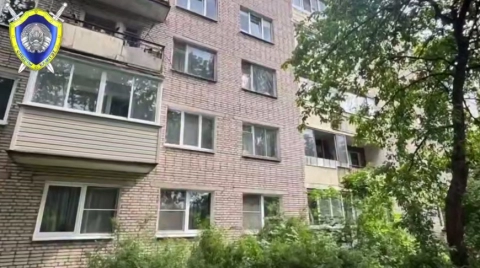 В Минске пятилетняя девочка выпала из окна пятого этажа