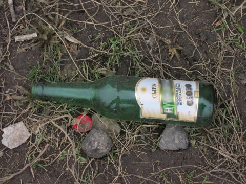 Мужчина ударил женщину бутылкой в Могилёве: возбуждено уголовное дело