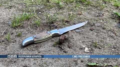 В Бресте милиционер при задержании дебошира применил оружие: мужчина угрожал ножами