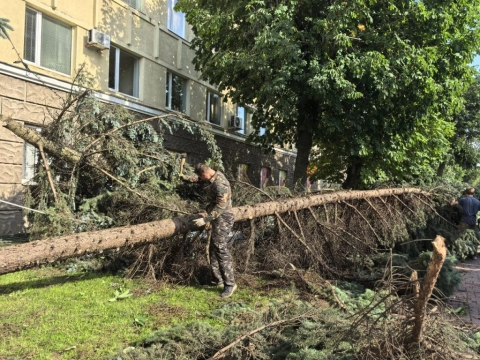 Могилев запустил выплаты и помощь горожанам после урагана — уже более 700 заявок