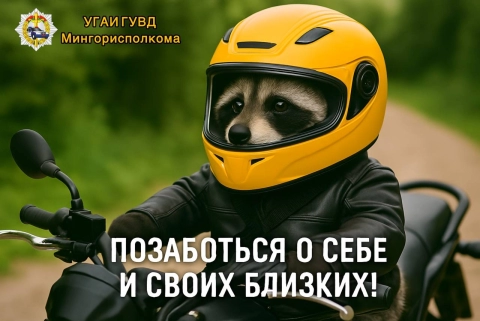Минская ГАИ организует Единый день дорожной безопасности с акцентом на пассивную защиту
