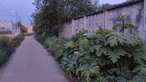 В Беларуси планируют ужесточить административную ответственность за нарушения экологических норм