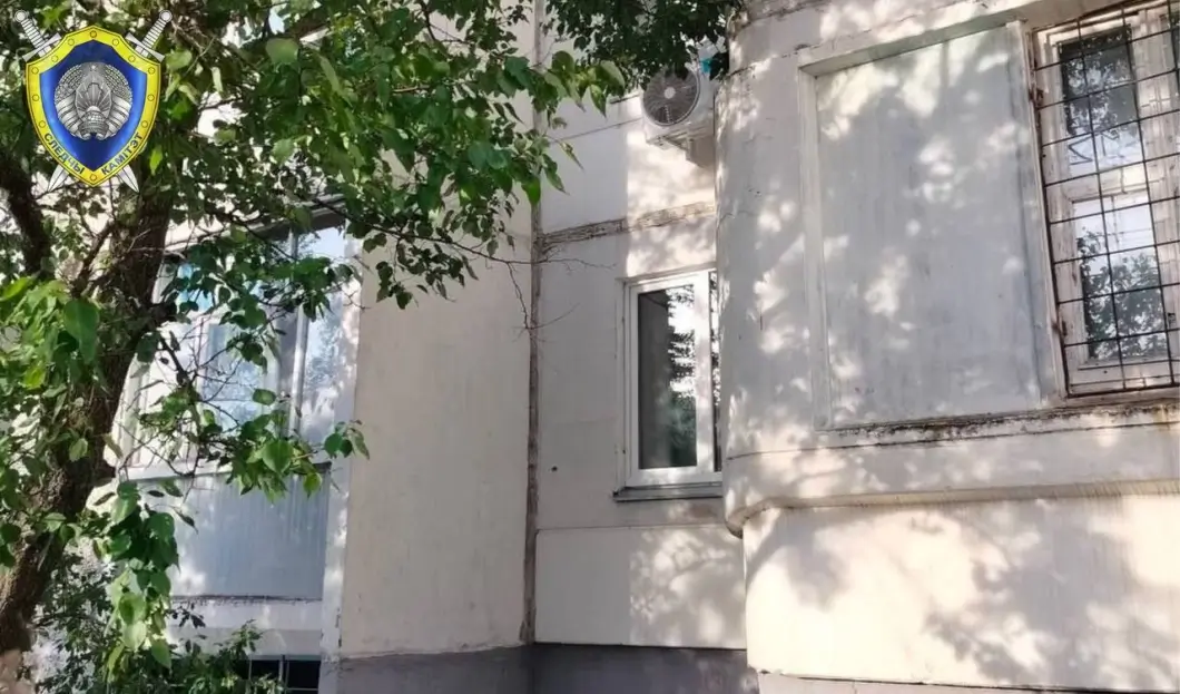 В Гомеле 21 августа девятилетний ребенок выпал из окна: следователи выясняют обстоятельства
