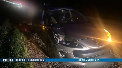 В Брестской области пенсионерку сбили насмерть