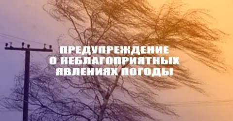 Грозы и усиление ветра в Беларуси в понедельник — МЧС предупреждает о рисках повреждений и пожаров