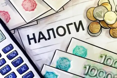 Плательщики налога на профессиональный доход смогут доплачивать взносы для полного страхового стажа