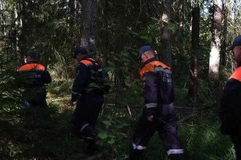 Спасатели нашли потерявшуюся в лесу женщину под Лобачево