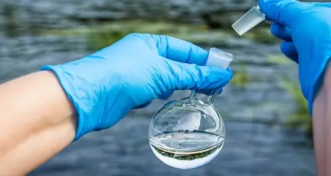 В Гомеле временно закрыли пляж «Западный» из-за превышения уровня E. coli