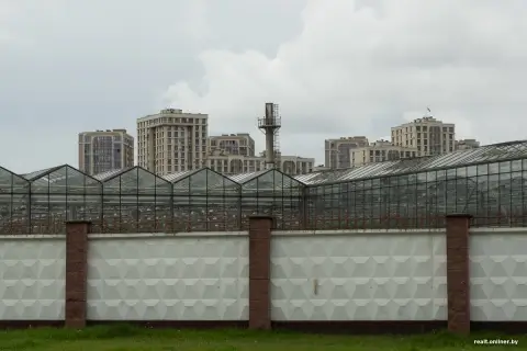 В Минске планируют возвести жилой комплекс на месте тепличного комбината у парка Челюскинцев