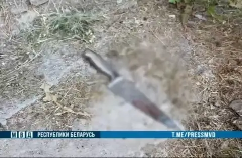 В Витебске мужчина напал с ножом на девушку и милиционеров: возбуждено уголовное дело