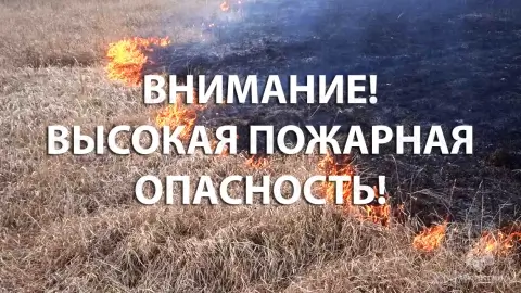 В юго-западных районах Беларуси ожидается до +30°C и повышенная пожароопасность