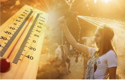 Жара до +31°C ожидается в Беларуси в пятницу 29 августа
