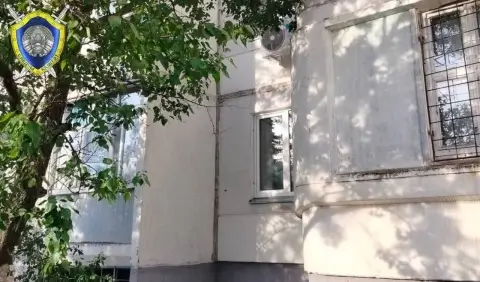 В Гомеле 21 августа девятилетний ребенок выпал из окна: следователи выясняют обстоятельства