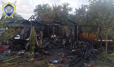 Взрыв газового баллона в Гомельском районе привел к гибели пенсионерки