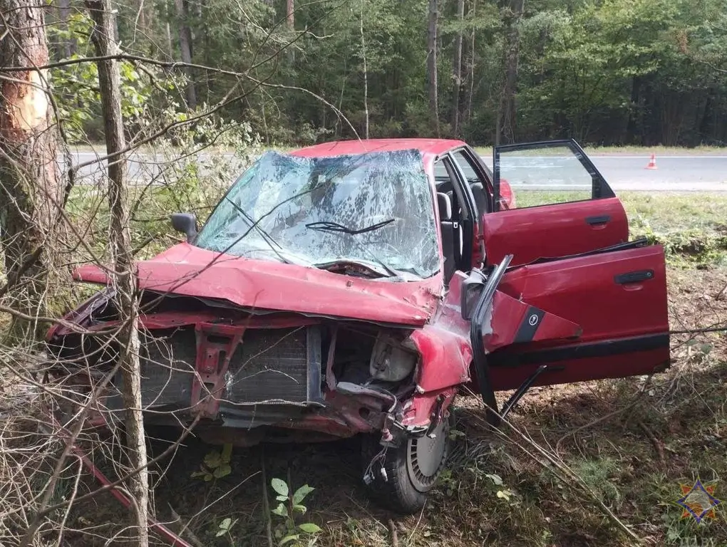 ДТП под Свислочью: спасатели МЧС деблокировали водителя Audi после столкновения с деревом