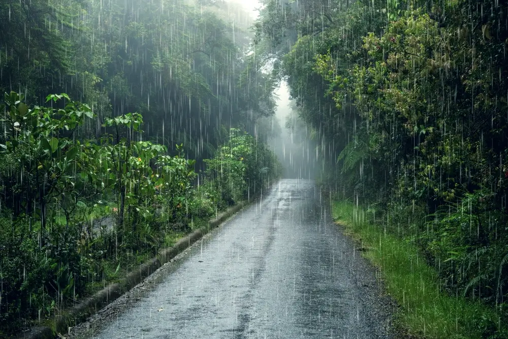 Осенние дожди и до +19°C: прогноз погоды для Беларуси на 17 сентября