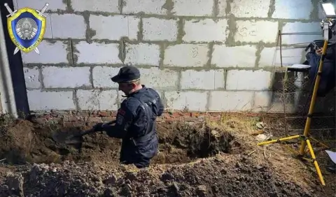 В Гомеле раскрыто убийство пропавшего мужчины: задержан 77-летний пенсионер