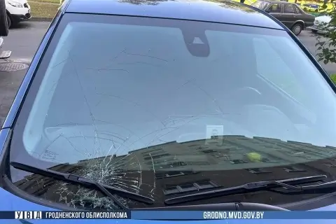 Гродненец выбросил мусор из окна: ущерб на 1000 рублей и возможный срок до трёх лет