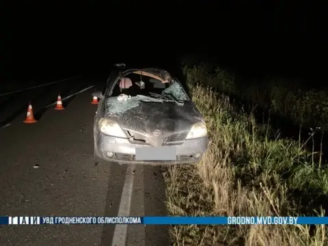 Под Сморгонью легковушка врезалась в лося: пострадали двое подростков