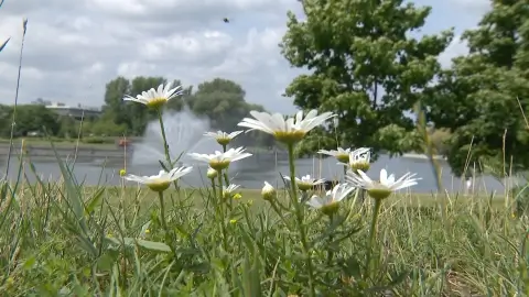 Погода в Беларуси 9 сентября: до +26 °C, грозы на юго-западе и туман утром