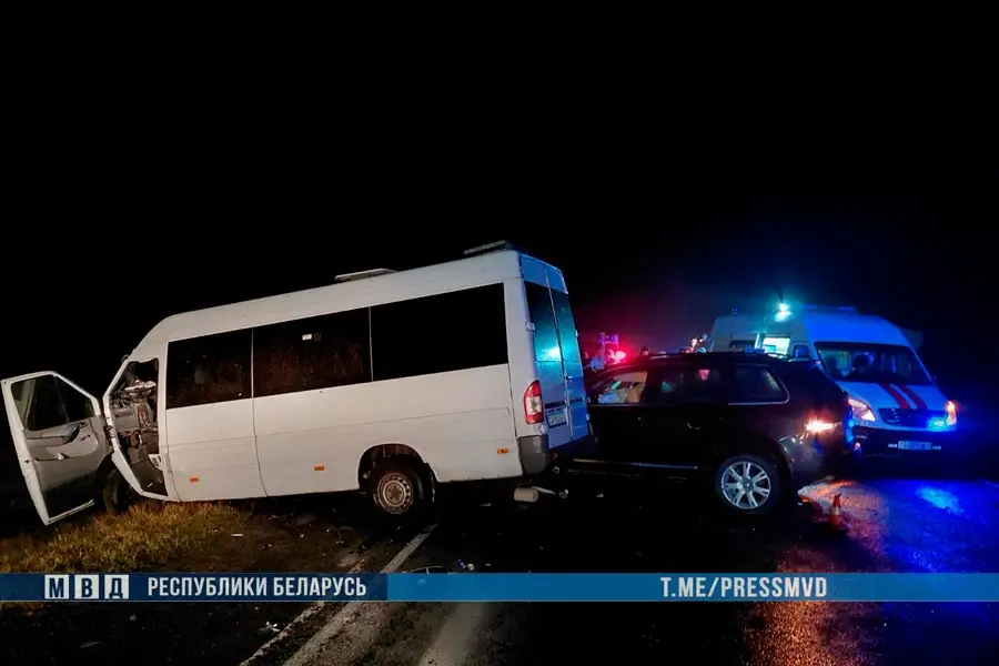 Шесть человек погибли в лобовом столкновении маршрутки и иномарки под Светлогорском