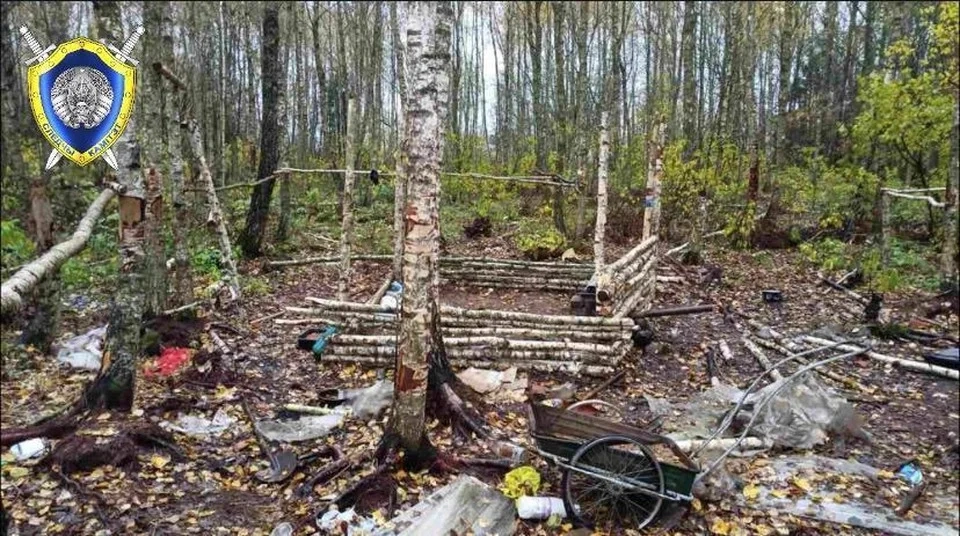 Под Шкловом подростка прооперировали после взрыва петард: врачи извлекли около 50 металлических осколков