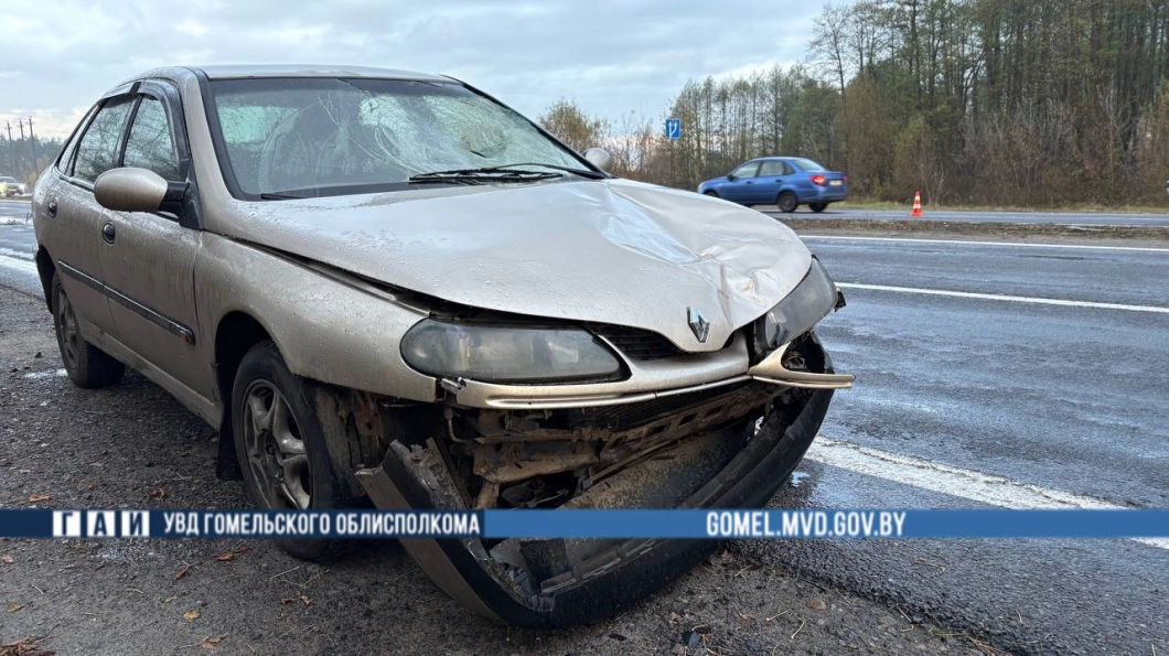 Смертельное ДТП с участием пешехода произошло утром 27 октября в Гомельском районе