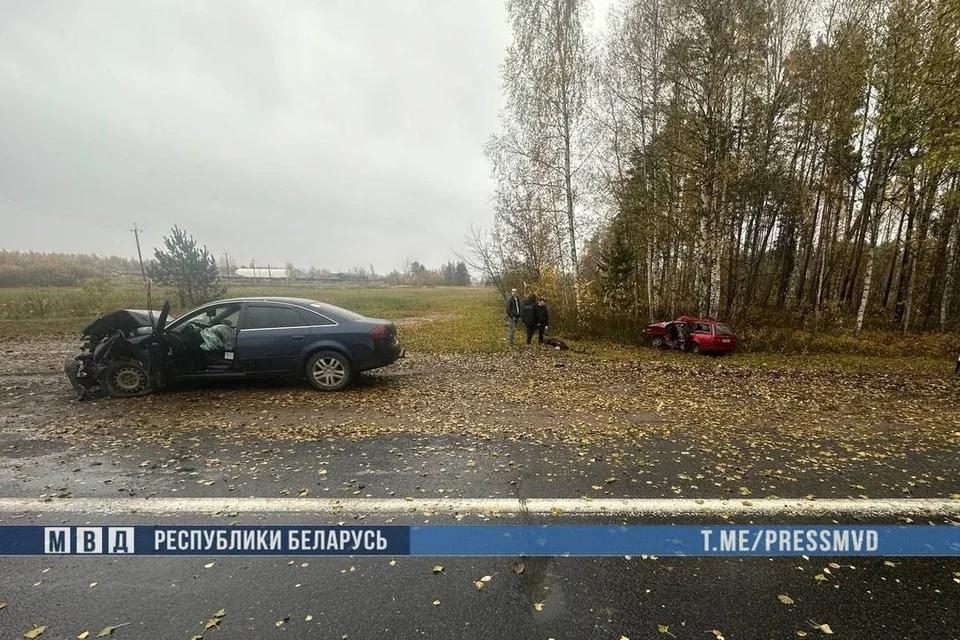 На трассе М3 «Минск – Витебск» произошло смертельное ДТП с двумя погибшими