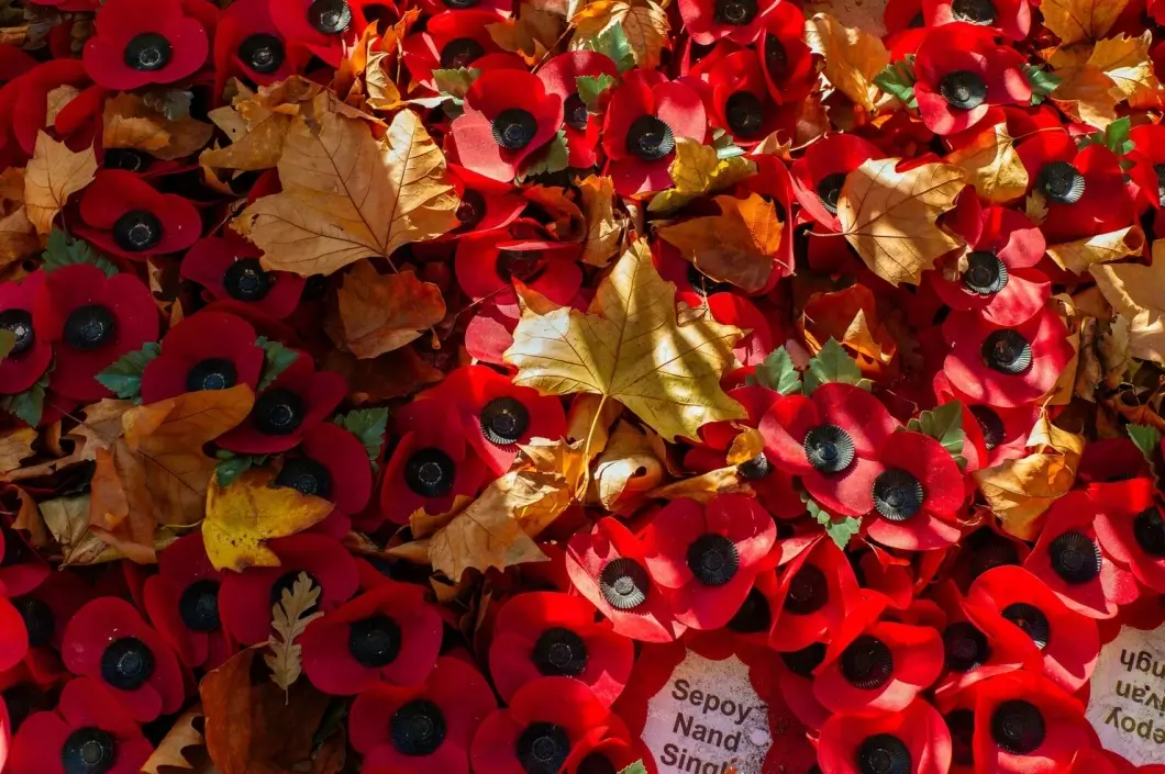 Что можно и нельзя делать 7 октября в день Фёклы Запрядальницы — традиции, запреты и смысл древнего праздника