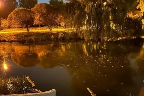 Сброс сточных вод в Свислочь: в Минске ищут виновных