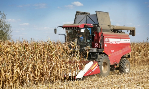Урожай зерна в Беларуси превысил 10 млн тонн, показав один из лучших результатов за десятилетие
